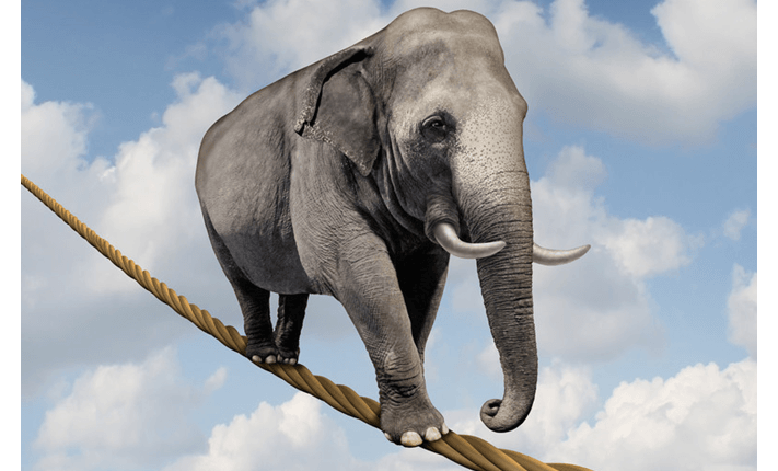 artist's rendition of an elephant walking on a tightrope