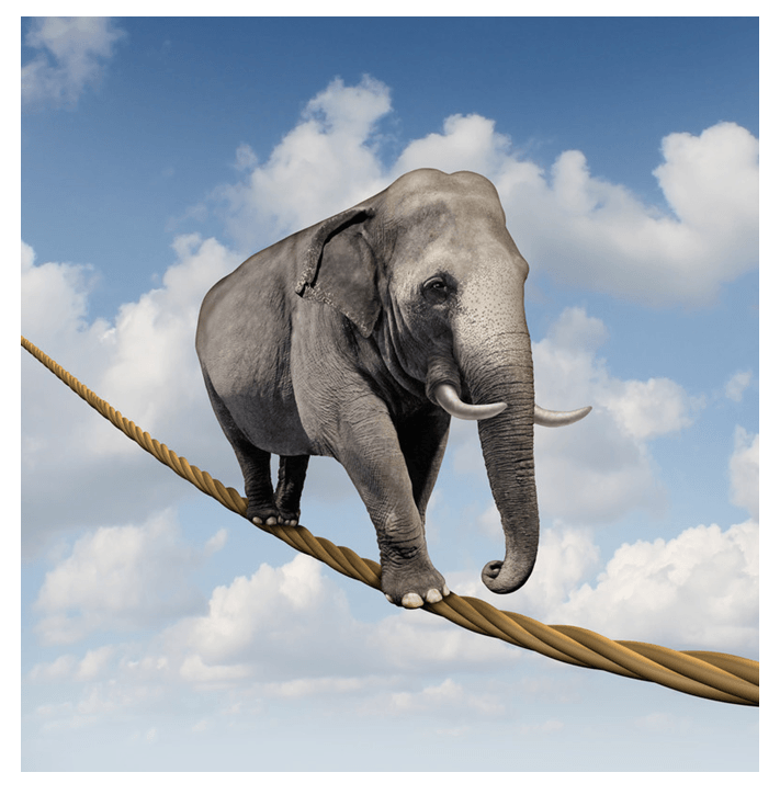 artist's rendition of an elephant walking on a tightrope