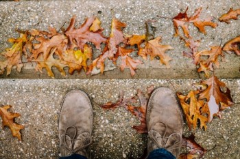 leather shoes on a concrete step with autumn leaves all around