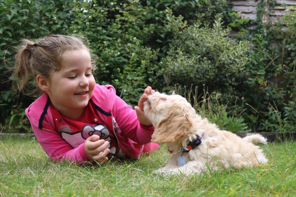 toddler with puppy in a garden