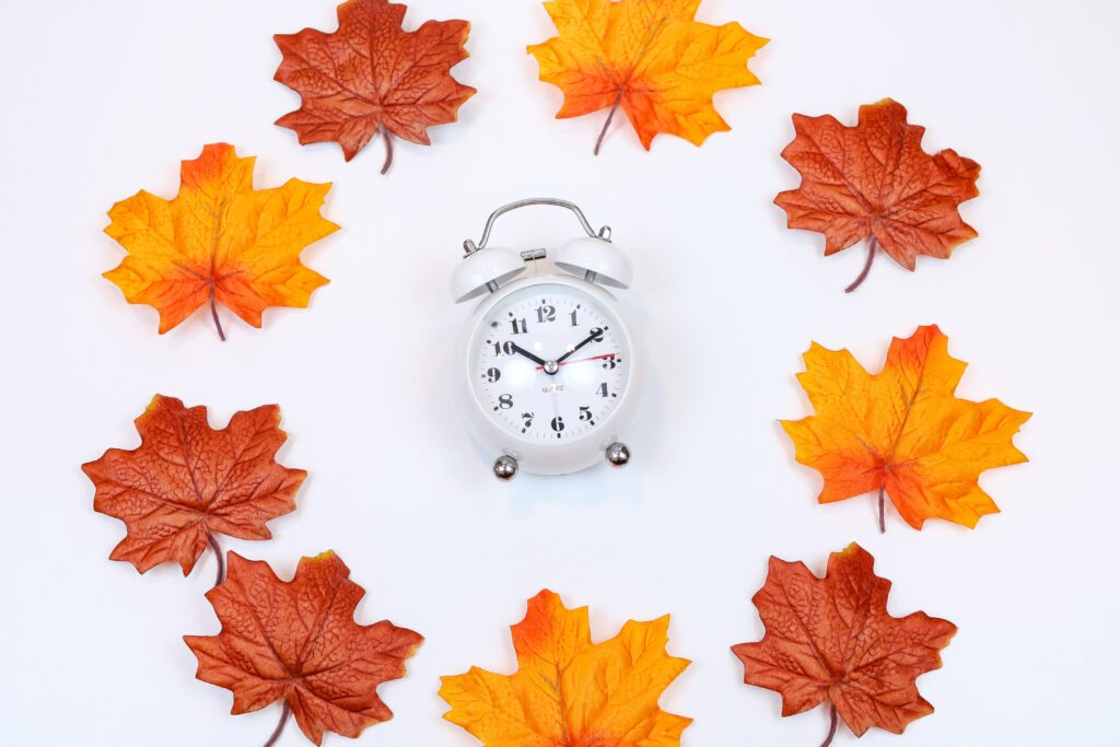 An analog alarm clock in a bed of snow, surrounded by various shapes and colours of autumn leaves